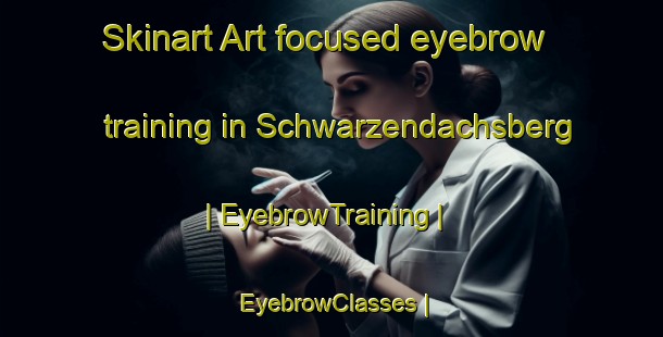 Skinart Art-focused eyebrow training in Schwarzendachsberg | EyebrowTraining | EyebrowClasses | SkinartTraining-Germany
